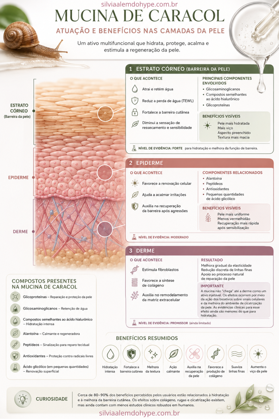 Infográfico Mucina